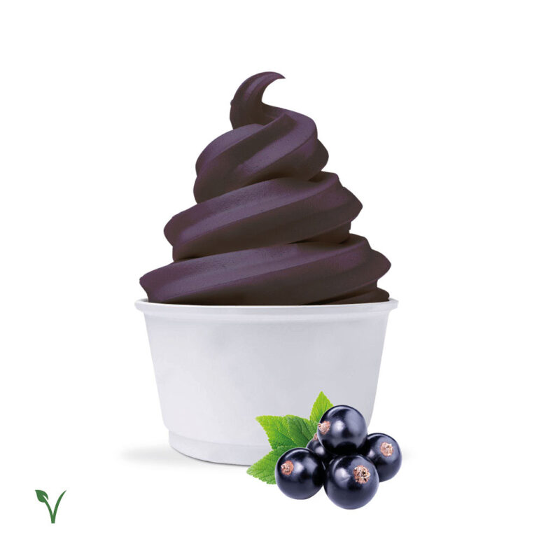 Freeezy Softeispulver schwarze Johannisbeere 100% Vegan