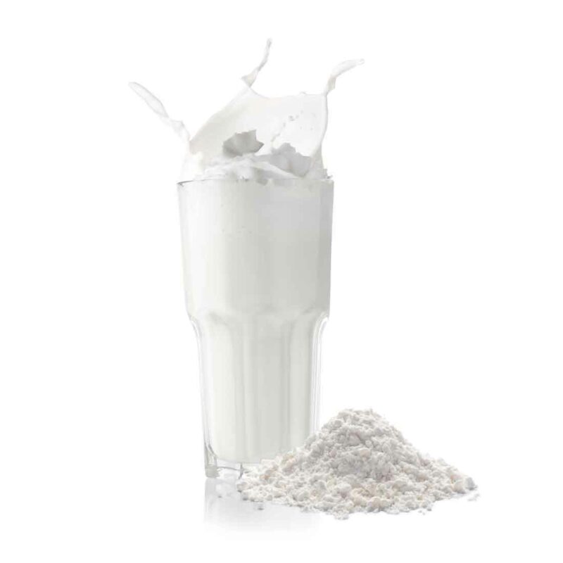 Freeezy Milchshake Base Pulver 2 kg