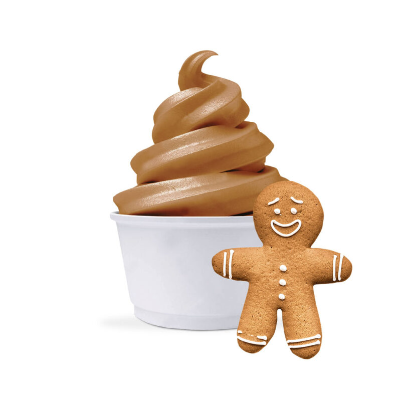 Freeezy Softeispulver Lebkuchen